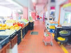 Prime Retail Bishan North Shopping Mall  (D20), Shop House #430499461